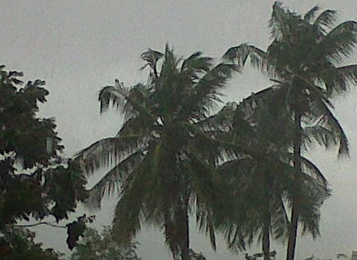 Monsoon watch: Photos sent by surfers