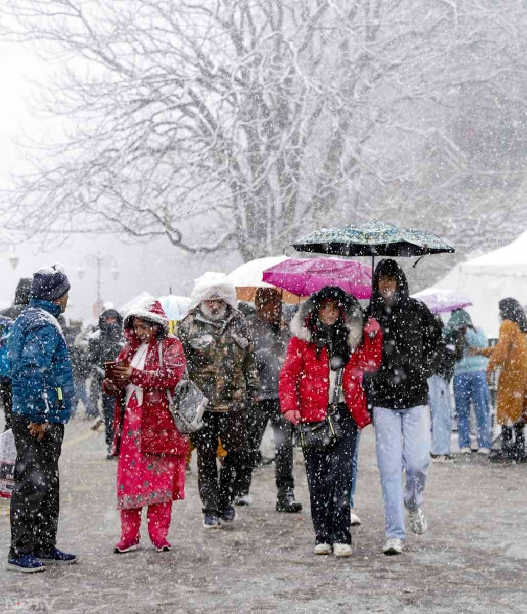 हिमाचल की राजधानी शिमला, कुफरी और डलहौजी में बर्फबारी ने पहाड़ों को सफेद चादर से ढंक दिया है. इससे लोगों के चेहरे खिल गए हैं.