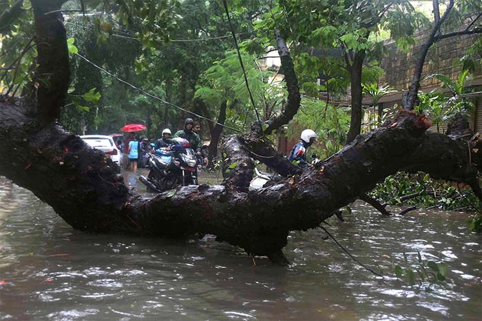 Train services, which were badly hit due to waterlogging yesterday, have resumed.