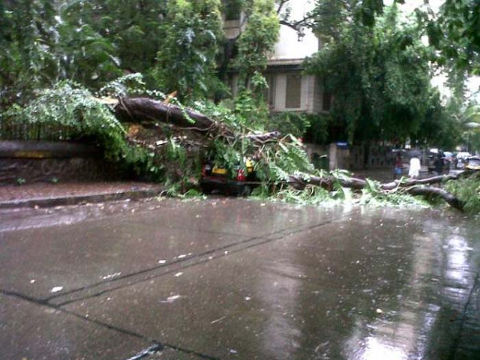 Picture Courtesy: <a href="https://twitter.com/surenshete/status/218180316664311808/photo/1" rel="nofollow" target="_blank">@surenshete</a>