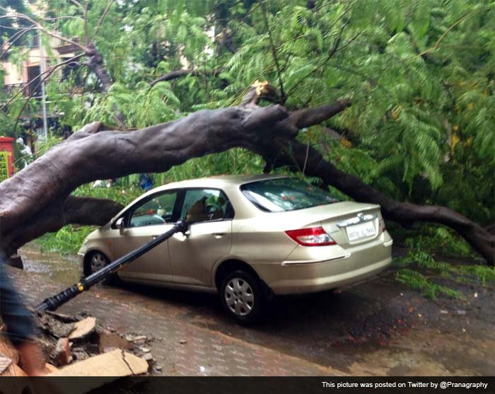 @Pranagraphy tweeted this picture of a car crushed under a fallen tree in IC Colony extension in Borivali West.