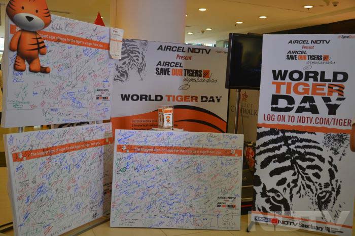 Nation Roars in Support for the Tiger on World Tiger Day