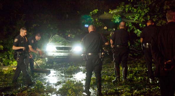 City officials said they would focus on Friday on cleaning up the debris from the storm ?particularly downed tree limbs in many parts of the city - but they cautioned they were still trying to determine the scope of the task. <br><br>(NYT Photo)