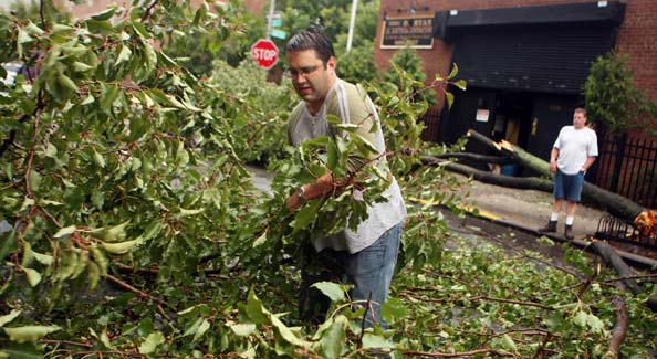 The winds ripped some trees out of sidewalks and blew them 30 to 40 feet knocking out electricity as they landed on power lines. <br><br>(NYT Photo)