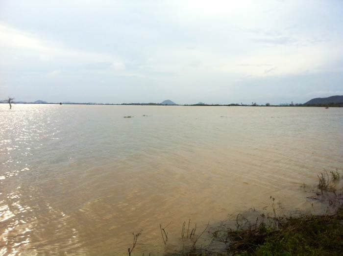 Odisha under an endless expanse of water after cyclone Phailin, floods