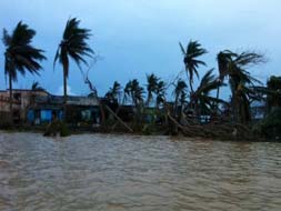 Odisha under an endless expanse of water after cyclone Phailin, floods