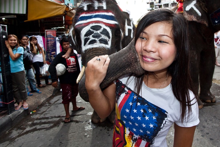 <b>AND FINALLY, THIS ONE TAKES THE CAKE... </b>A Kiss of Elephantine proportions, literally!...An Asian tourist is given a kiss by an elephant during ceremonies on Thursday, June 10, 2010, in Bangkok, a day ahead of the opening of the World Cup football tournament in South Africa. Hundreds of tourist looked on Thursday as elephants and others paraded down Khao San Road, a popular tourist area in Bangkok, to celebrate the start of the World Cup tournament. (AP Photo)