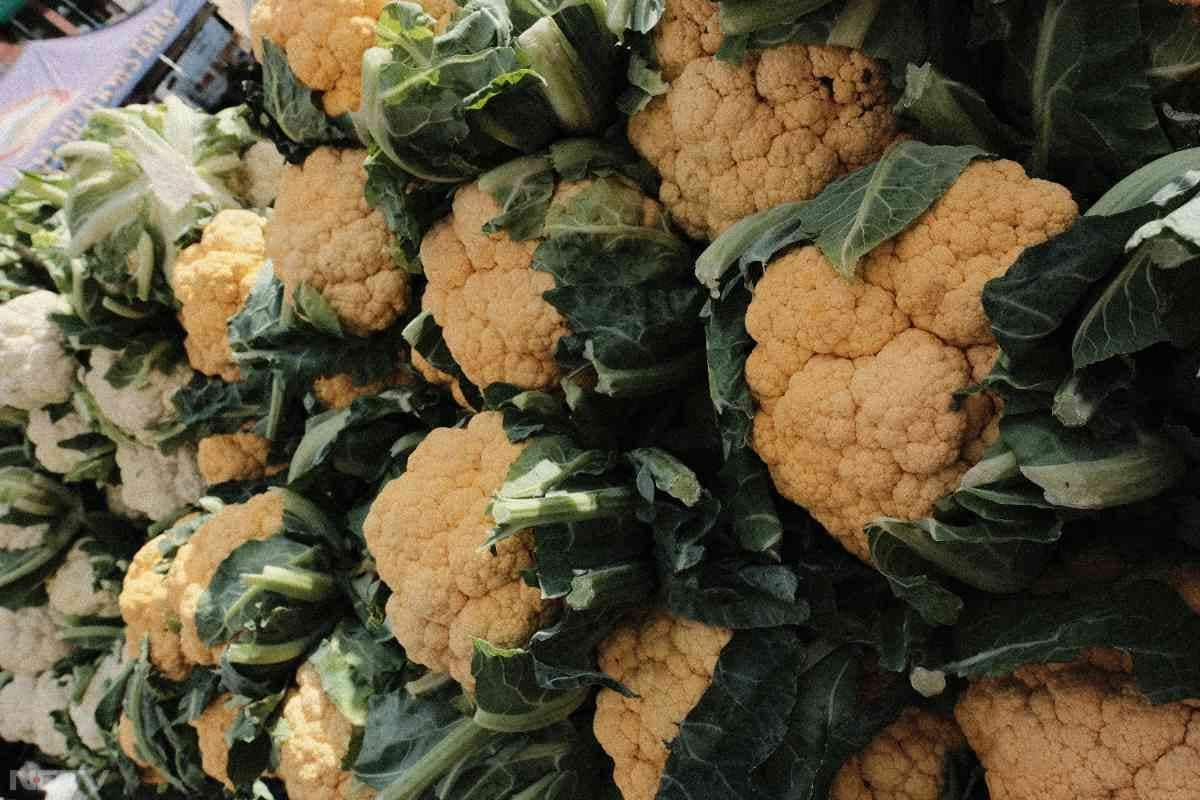 ब्लड प्रेशर को संतुलित रखने और खराब कोलेस्ट्रॉल कम करने में सहायता करती है फूलगोभी.