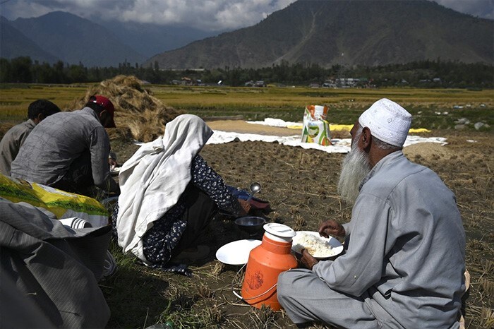 Farmers eat lunch on a rice field in Kangan, some 22 Km northeast of Srinagar.