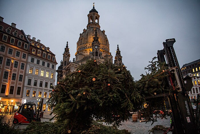 A worker uses a forklift to gather fir trees as the Christmas market in front of Dresden\'s Frauenkirche church.