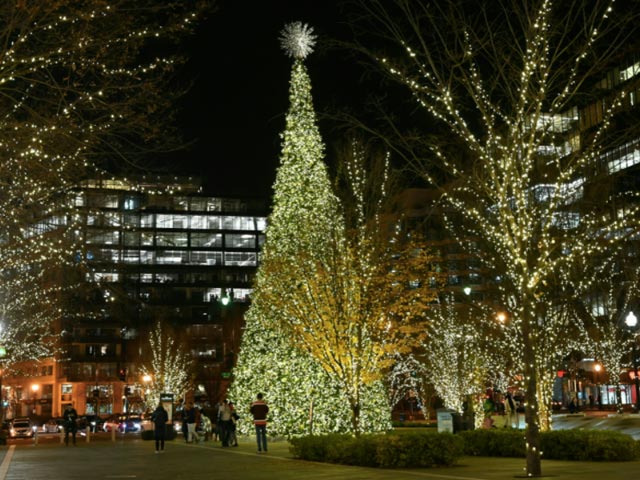 People admire a Christmas tree illuminating CityCenterDC in downtown Washington, DC.