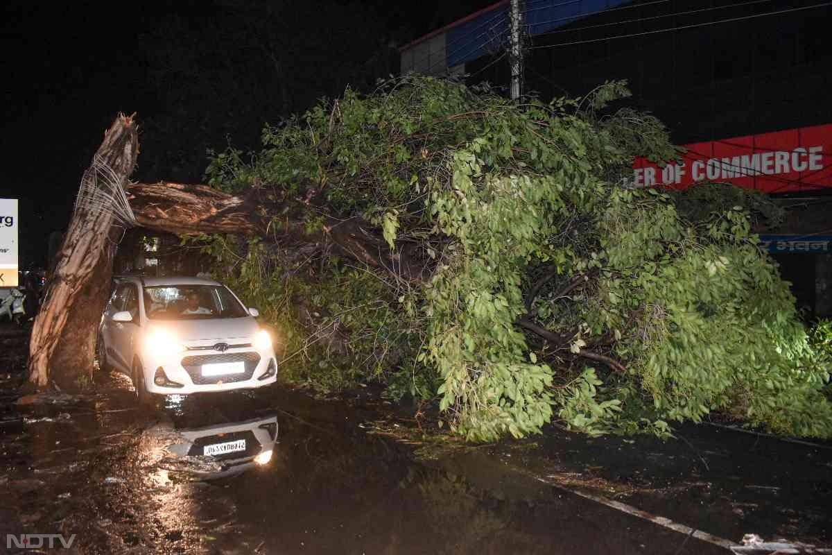 दिल्ली, नॉर्थ डिस्टिक तिमारपुर थाना क्षेत्र में शाम में आई तेज आंधी के चलते नेहरू विहार और मुखर्जी नगर को जोड़ने वाले पुराने पुल की एक तरफ की रेलिंग अचानक टूटकर नाले में गिर गई.