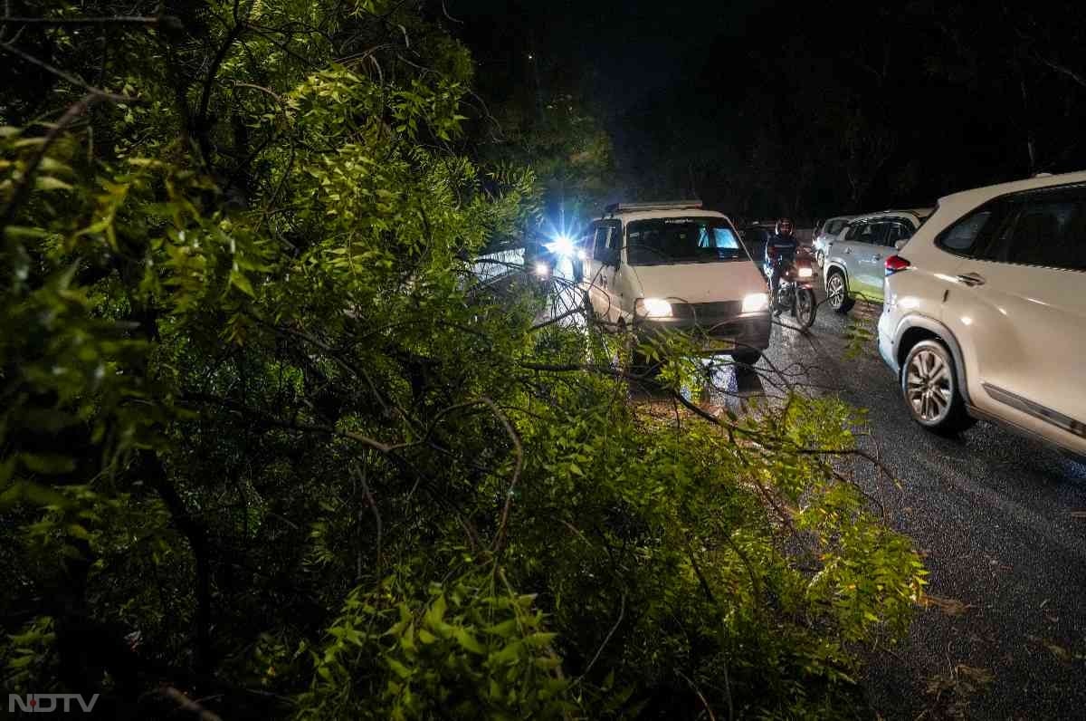 लोधी रोड फ्लाईओवर के पास लोधी रोड के बीच में बिजली का हाई बीम पोल आंधी में गिर गया, जिससे दिव्यांग व्यक्ति की मृत्यु हो गई, जो अपनी ट्राइसाइकिल से लोधी रोड की ओर जा रहा था.