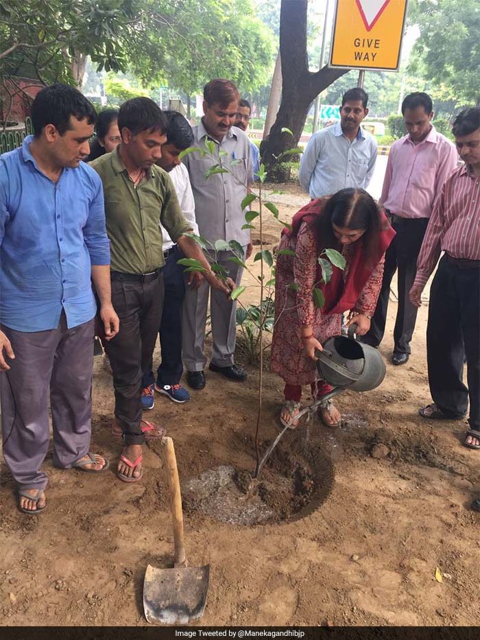 Women and Child Development Minister, Maneka Gandhi, planted a sapling on the occasion of the Prime Minister's birthday with a message reading, "Just like these saplings will grow into mighty trees, may India flourish under Shri @narendramodi ji's leadership."