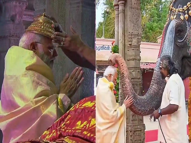Photo : पीएम मोदी ने तमिलनाडु के श्री रंगनाथस्वामी मंदिर में की पूजा-अर्चना, हाथी से भी लिया आशीर्वाद