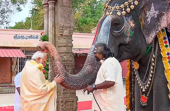 मंदिर परिसर में पीएम ने हाथी को गुड़ खिलाया और आशीर्वाद भी लिया.