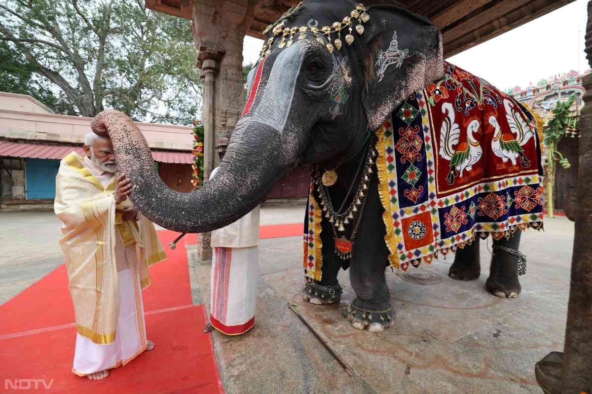 तमिलनाडु के तिरुचिरापल्ली में श्री रंगनाथस्वामी मंदिर में पीएम मोदी