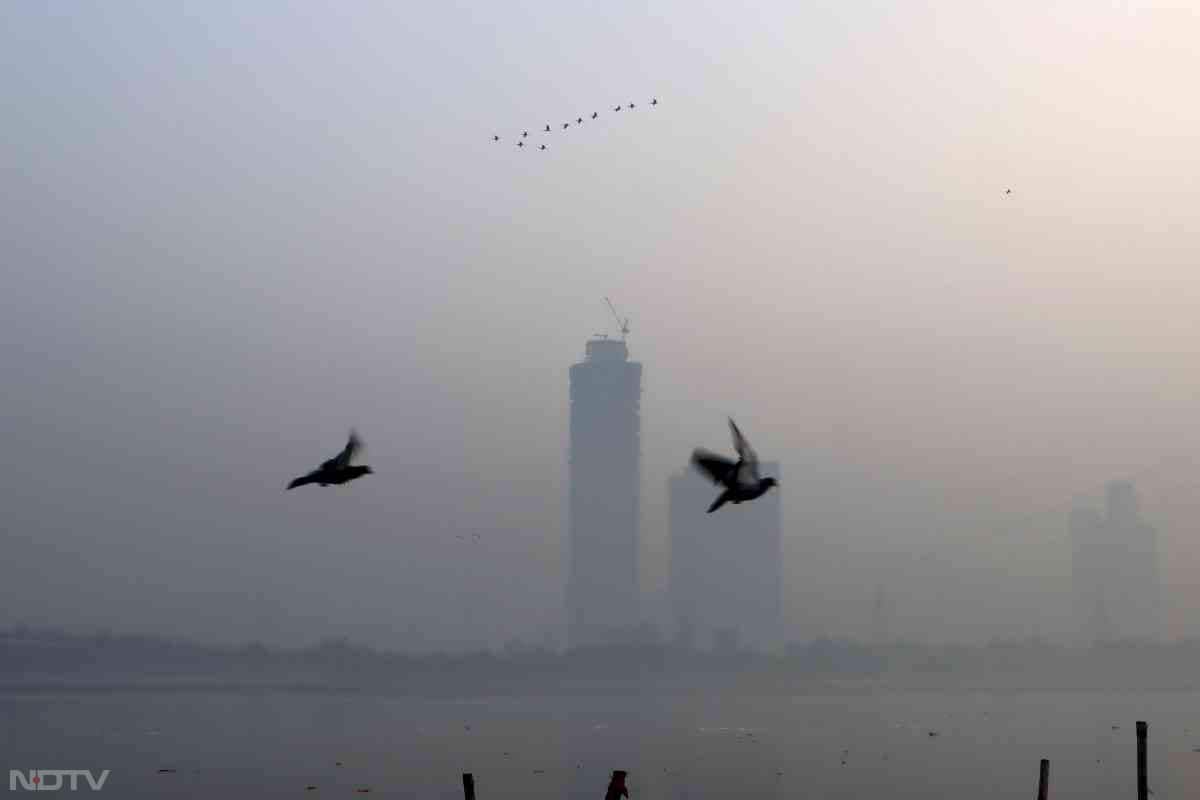 आतिशबाजी की जिसके बाद हवा की क्वालिटी बेहद खराब हो गई है