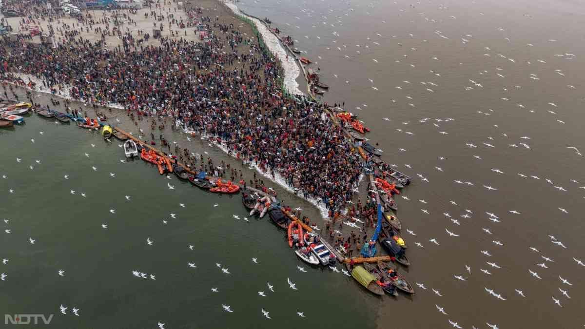 माघ मेले में संगम तट का ड्रोन शॉट... चारों तरफ बोट ही बोट दिख रही हैं...