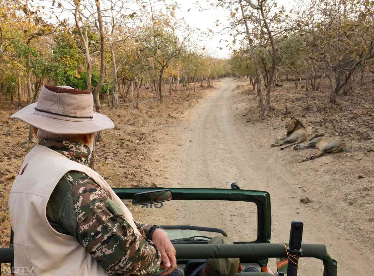 PM Modi गिर नेशनल पार्क में.