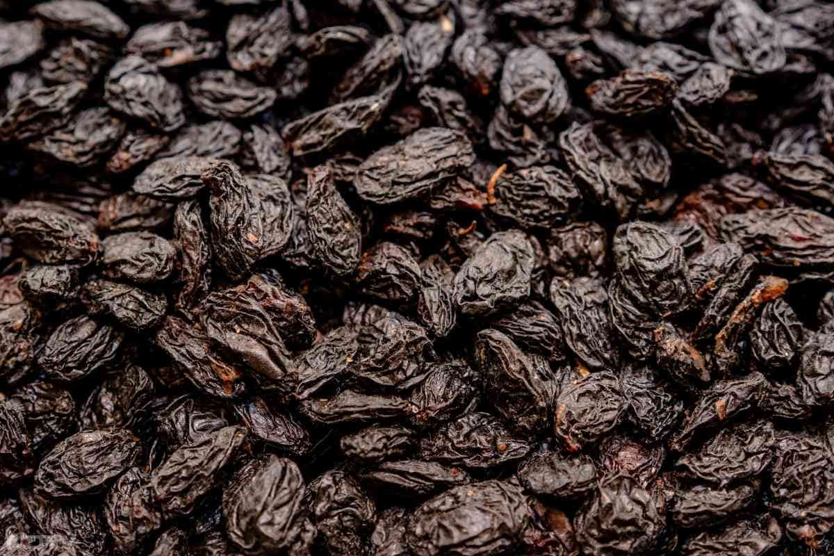 पेट संबंधी समस्याएं हैं जैसे पाचन, कब्ज तो आप रात को सोने से पहले किशमिश का सेवन करें. क्योंकि इसमें फाइबर पाया जाता है, जो पेट को साफ रखने में मदद कर सकता है.