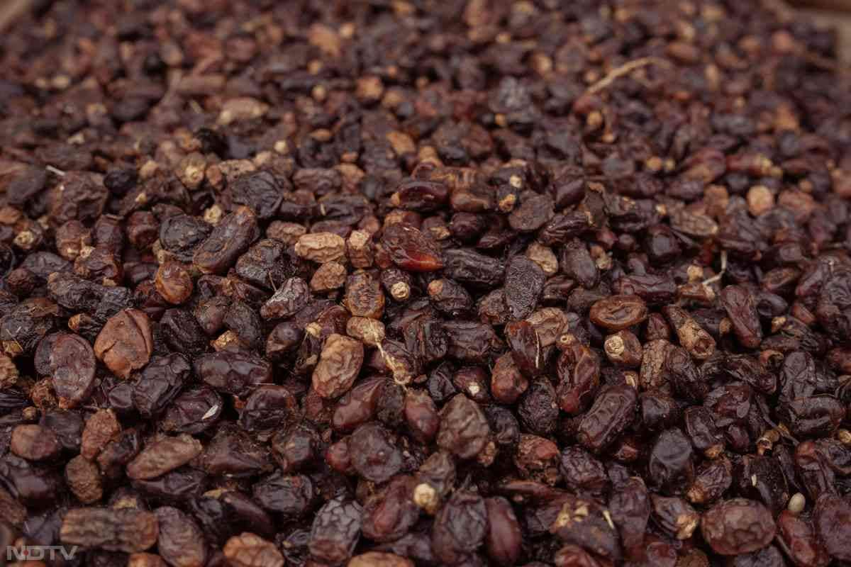 अगर आपका दुबला-पतला शरीर है और आप वजन को बढ़ाना चाहते हैं तो रात को दूध के साथ किशमिश का सेवन करें.