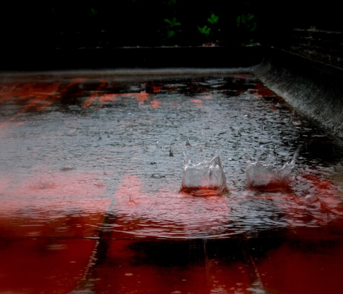 Alok Bang has sent this photo from Wardha.
