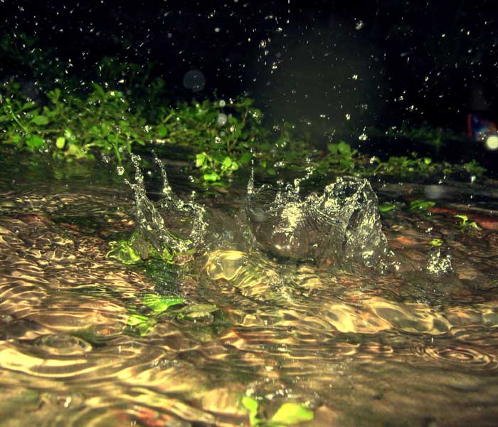 Arka Patra has sent this photo from Chandernagore, (Kolkata).