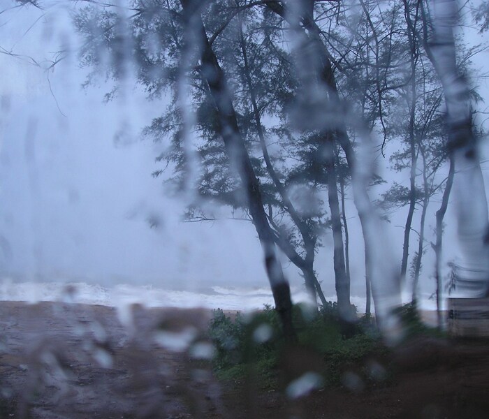 Sowparnika has sent this photo from Mangalore.