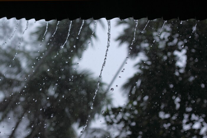 Cynthia Sapna has sent this photo from Kozhikode.