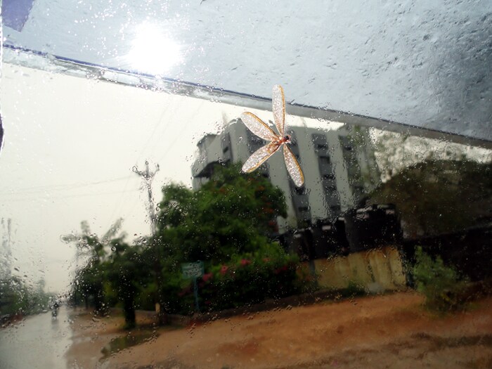 Deepak Tewari has sent this photo from Vadodra.