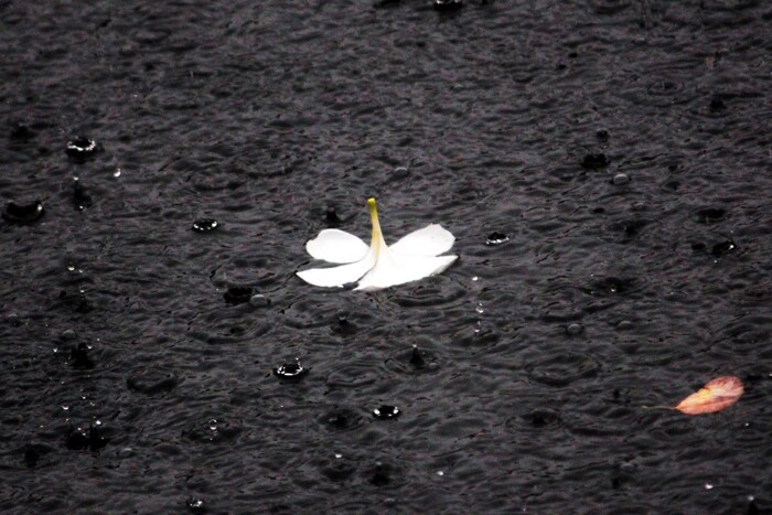Kapil Pandey has sent this photo from Mumbai.