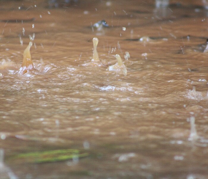 Pooja V. Avsare has sent this photo from Mumbai.