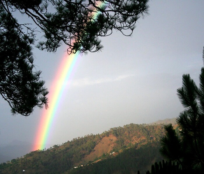 Surender Sinngh has sent this photo from Haldwani.