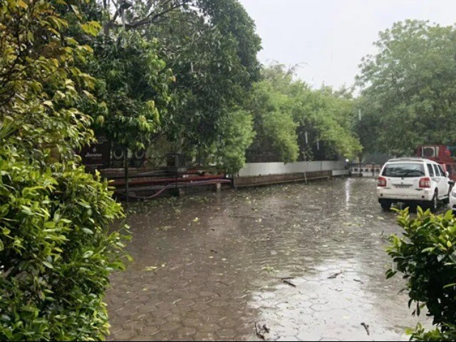 Photo : दिल्ली-एनसीआर में बारिश-आंधी, गर्मी से राहत, कुछ जगहों पर उखड़े पेड़