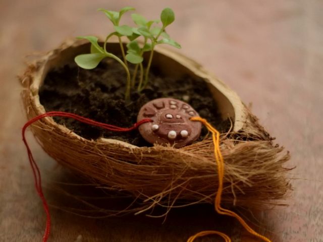 This Raksha Bandhan Move Over Rakhis With Plastic Beads And Go Eco-Friendly