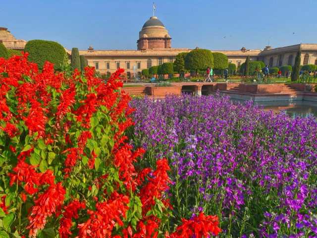 Photo : Pics: Rashtrapati Bhavan's Iconic Mughal Gardens Ahead Of Its Annual Opening For Public