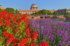 Pics: Rashtrapati Bhavan's Iconic Mughal Gardens Ahead Of Its Annual Opening For Public Pics: Rashtrapati Bhavan's Iconic Mughal Gardens Ahead Of Its Annual Opening For Public