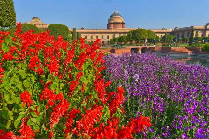 Pics: Rashtrapati Bhavan\'s Iconic Mughal Gardens Ahead Of Its Annual Opening For Public