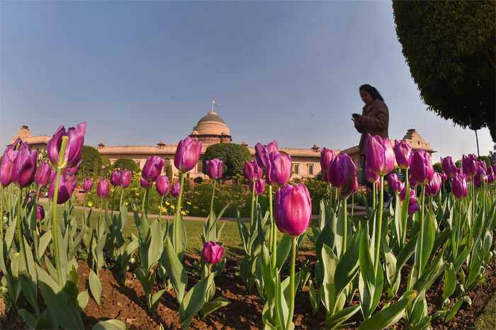 Pics: Rashtrapati Bhavan\'s Iconic Mughal Gardens Ahead Of Its Annual Opening For Public