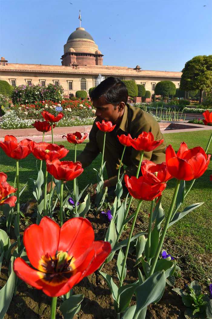 Pics: Rashtrapati Bhavan\'s Iconic Mughal Gardens Ahead Of Its Annual Opening For Public