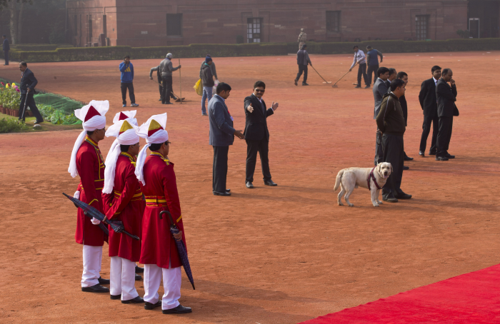 Grand Welcome for President Obama At The Rashtrapati Bhavan