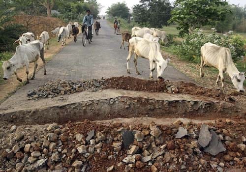 <b>Shattered and scattered...</b> A road vandalized by Maoists at Lalgarh, about 200 kilometers (124 miles) west of Kolkata, in West Midnapore district of 

West Bengal.(AP)