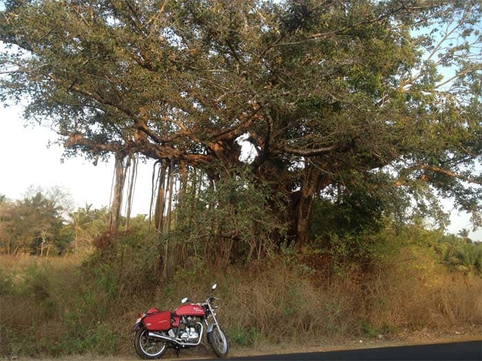 The Motorcycle Diaries: test-riding the new Royal Enfield Continental GT