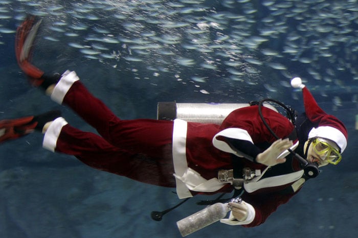 Dressed in a Santa Claus outfit, a diver swims with sardines at the Coex Aquarium in Seoul, South Korea, Friday, Dec. 24, 2010. Christmas is one of the biggest holidays in South Korea, where over half of the population are Christians. (Photo courtesy: AP)