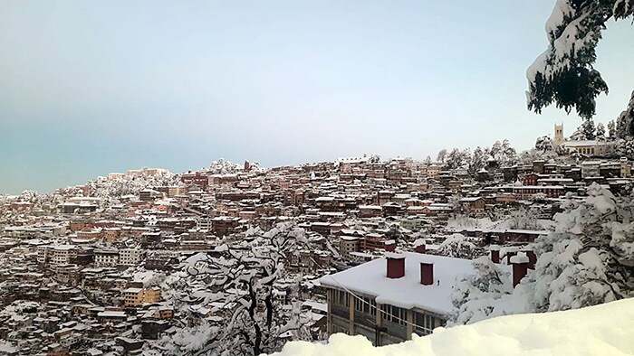 Buildings covered in a blanket of snow after a heavy snowfall, in Shimla on Saturday. (ANI Photo)