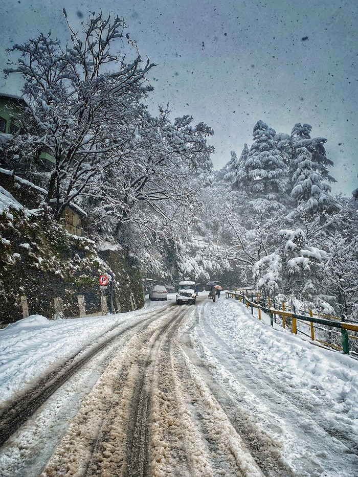 People walking on the snow-covered road amid fresh snowfall, in Shimla on Saturday. (ANI Photo)