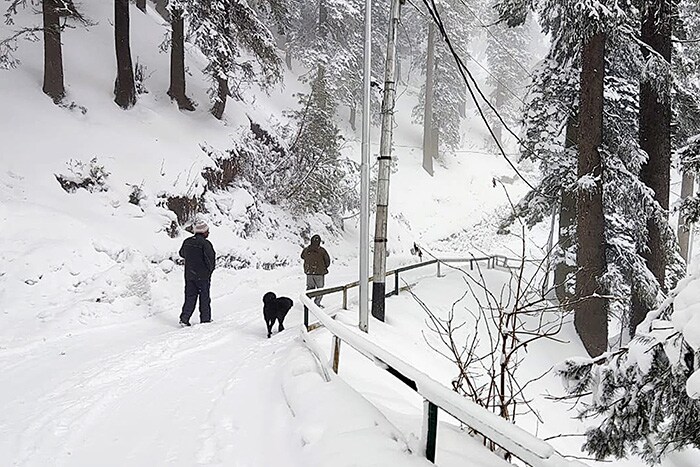 Pedestrians walk on a snow-covered road as the upper reaches of Himachal Pradesh receive heavy snowfall, at Narkanda, in Shimla on Sunday.