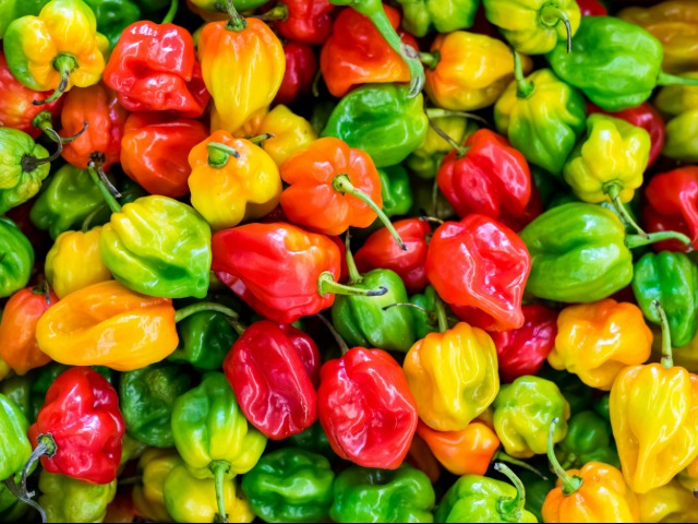 शिमला मिर्च खाने के फायदे