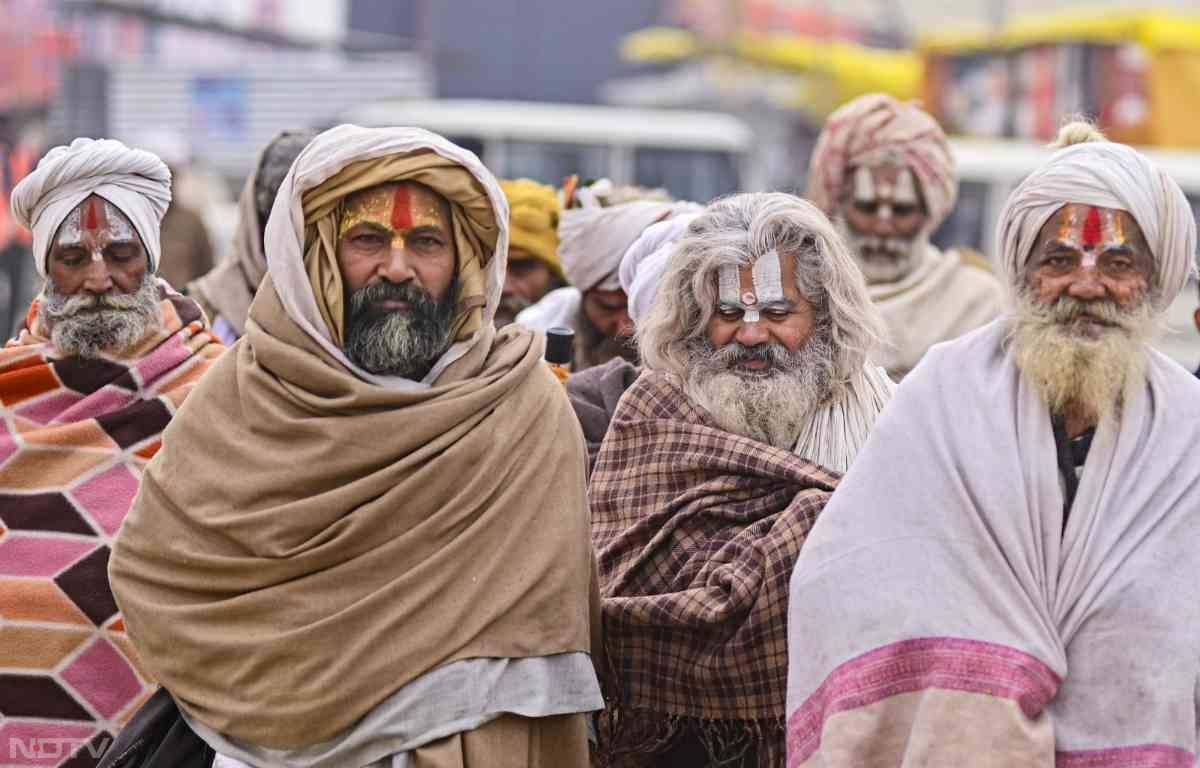 संगम पर ये मेहमान पक्षी लगभग 5 से 6 महीने तक रहते हैं, जिससे यह स्थल सर्दियों में जीवंत और जीवमय हो जाता है.